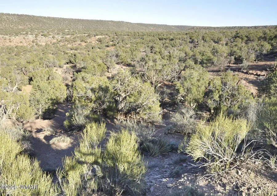 3687 Damron Valley Road, Snowflake, AZ 85937 - #3