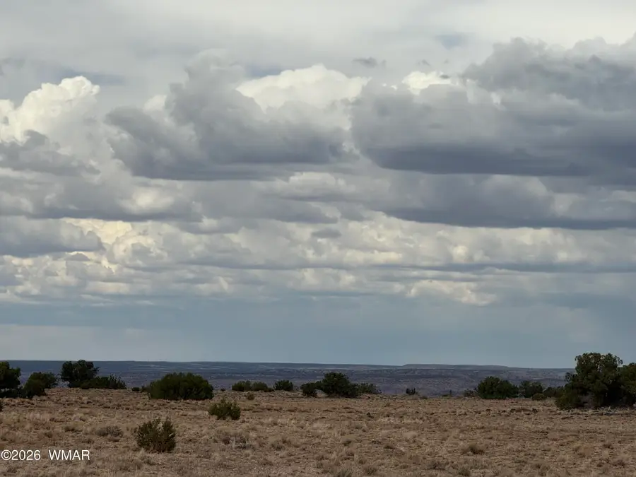 N6503 Elk Valley Ranch Lot 21, Saint Johns, AZ 85936 - #3