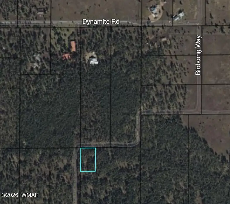 1 Acre Birdsong Way, Lakeside, AZ 85929 - #3