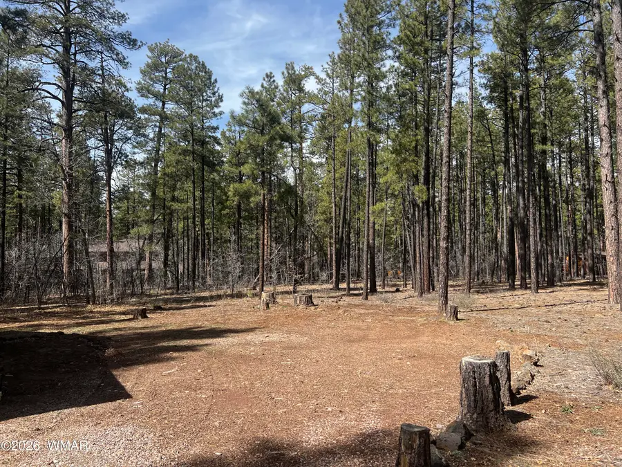 3051 Antelope Trail, Pinetop, AZ 85935 - #3