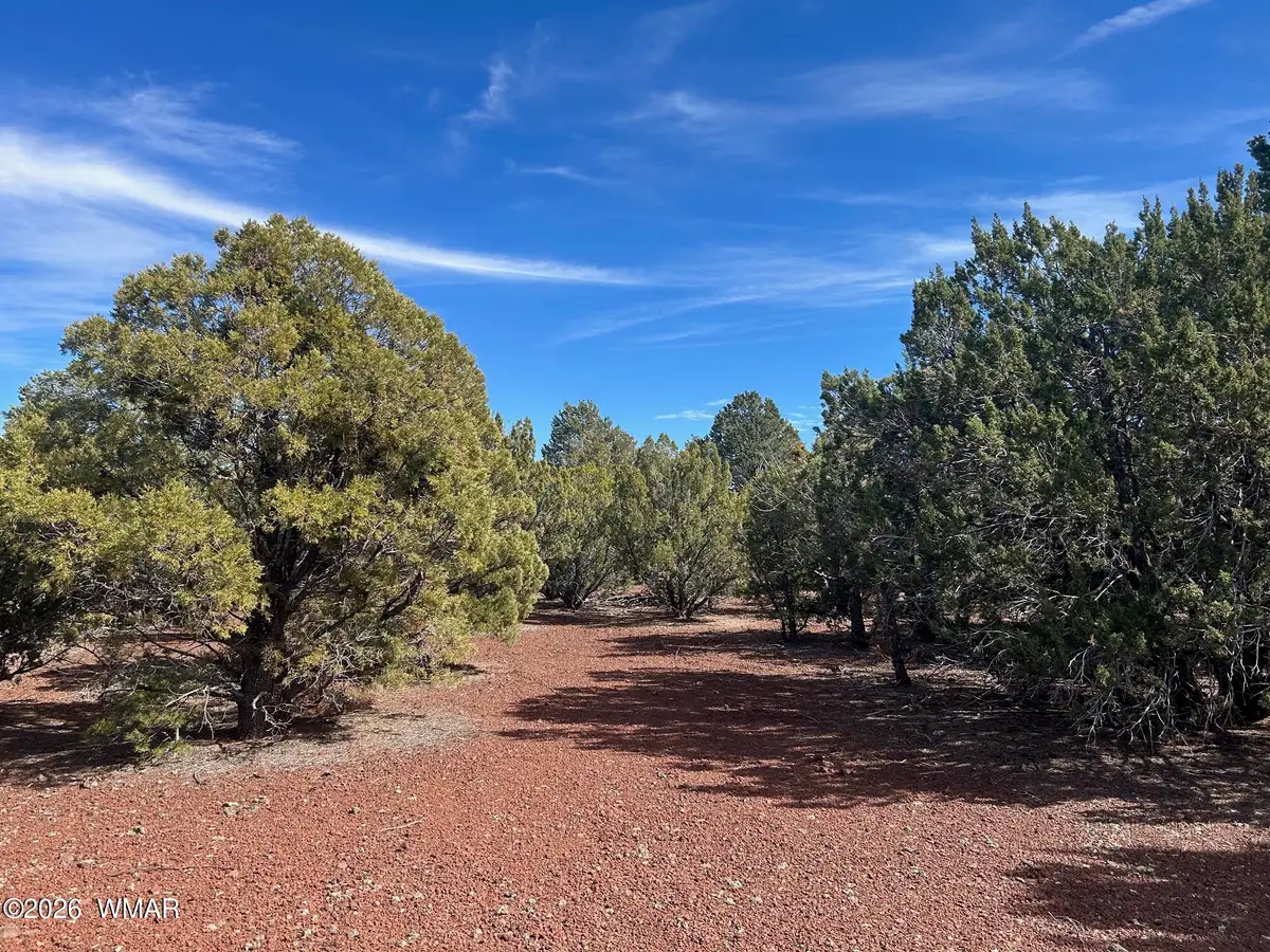 Lot 86 Ricks Road, Vernon, AZ 85940 - #1