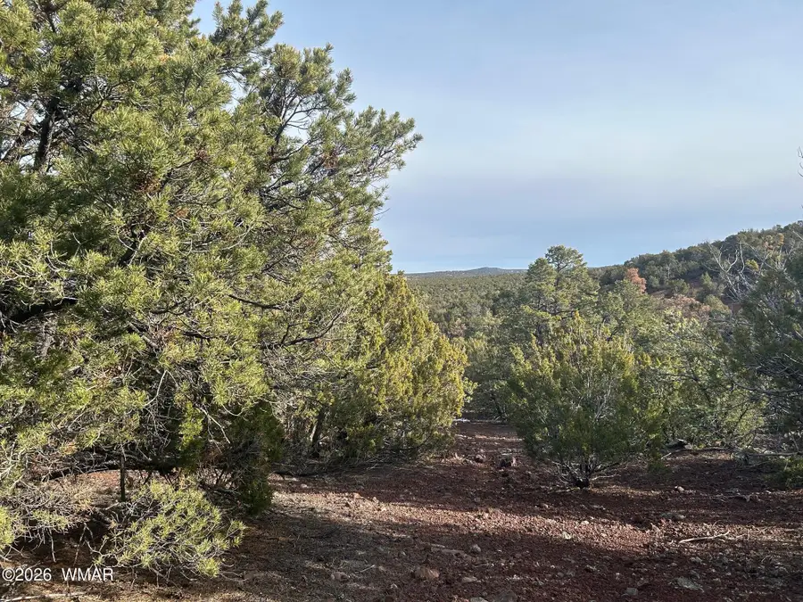 Lot 86 Ricks Road, Vernon, AZ 85940 - #3