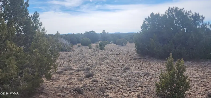 TBD Cr 8235, Vernon, AZ 85940 - #2