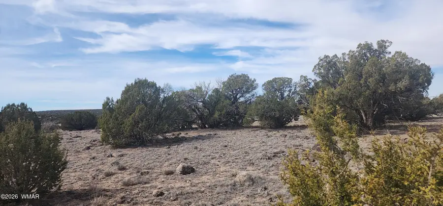 TBD Cr 8235, Vernon, AZ 85940 - #3