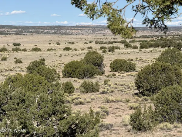 TBD Woodland Valley Ranch Lot 849, St. Johns, AZ 85936