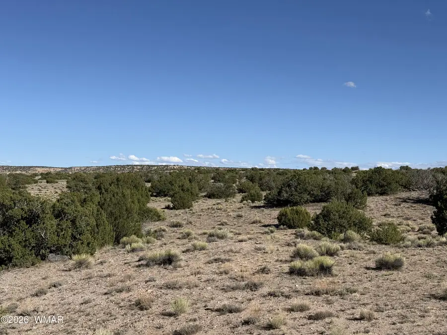 TBD Woodland Valley Ranch Lot 849, Saint Johns, AZ 85936 - #2