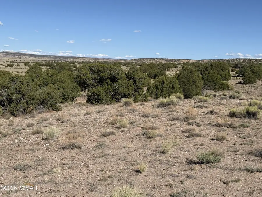 TBD Woodland Valley Ranch Lot 849, Saint Johns, AZ 85936 - #3
