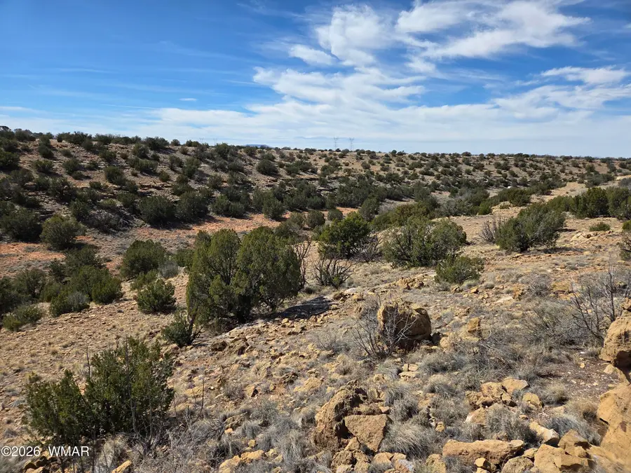 5827 Watermelon Drive, Heber, AZ 85928 - #2