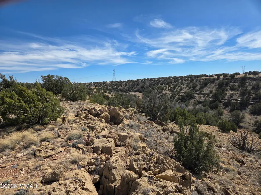 5827 Watermelon Drive, Heber, AZ 85928 - #3