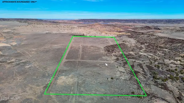 0 Cr 4008 (25 Acres), St. Johns, AZ 85936