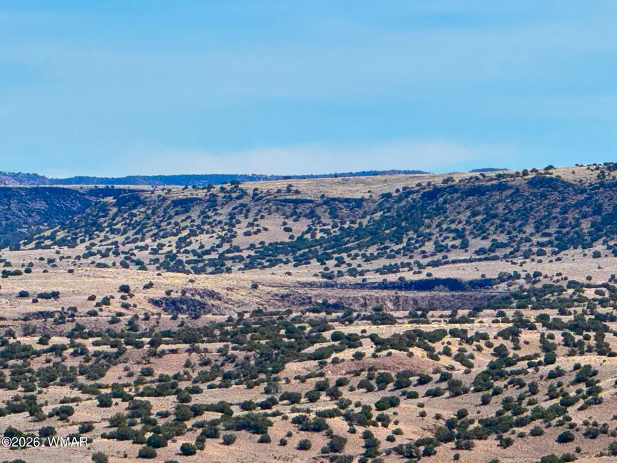 0 Cr 4008 (25 Acres), Saint Johns, AZ 85936 - #2