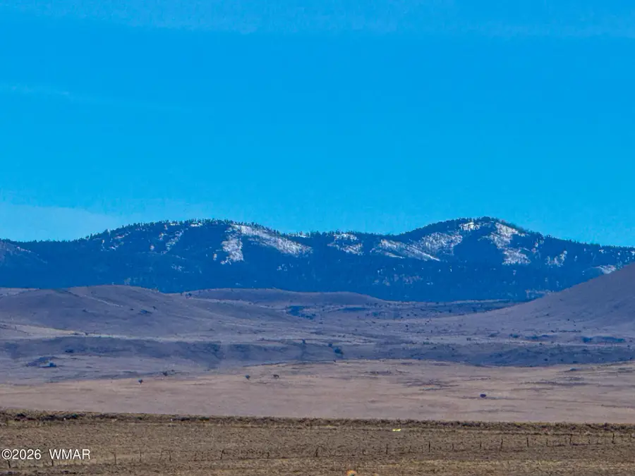 0 Cr 4008 (25 Acres), Saint Johns, AZ 85936 - #3