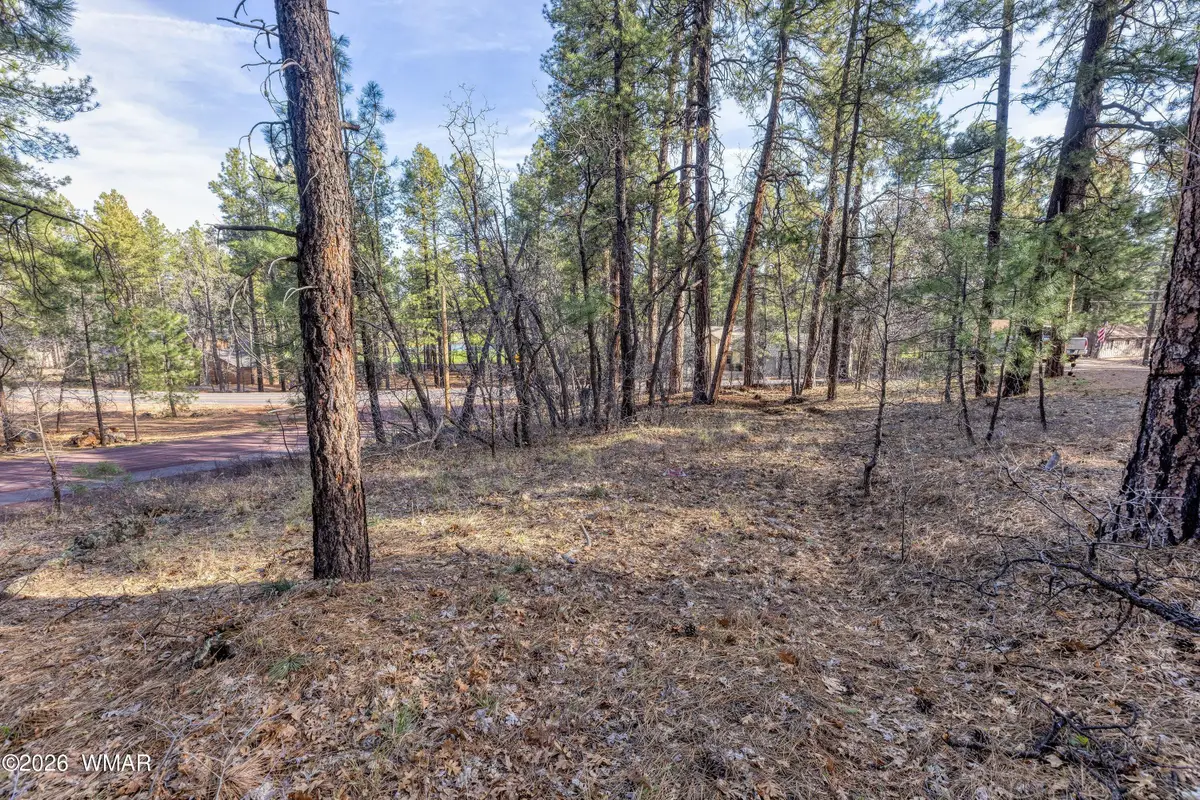 3795 Mogollon Vista Drive, Pinetop, AZ 85935 - #1