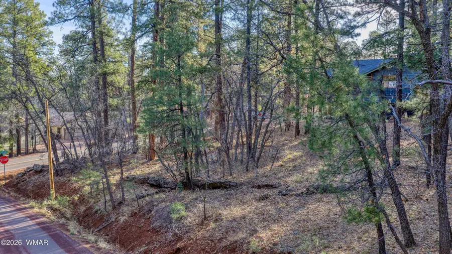3795 Mogollon Vista Drive, Pinetop, AZ 85935 - #2