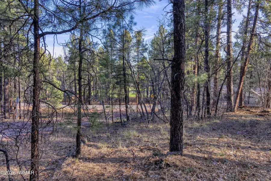 3795 Mogollon Vista Drive, Pinetop, AZ 85935 - #3