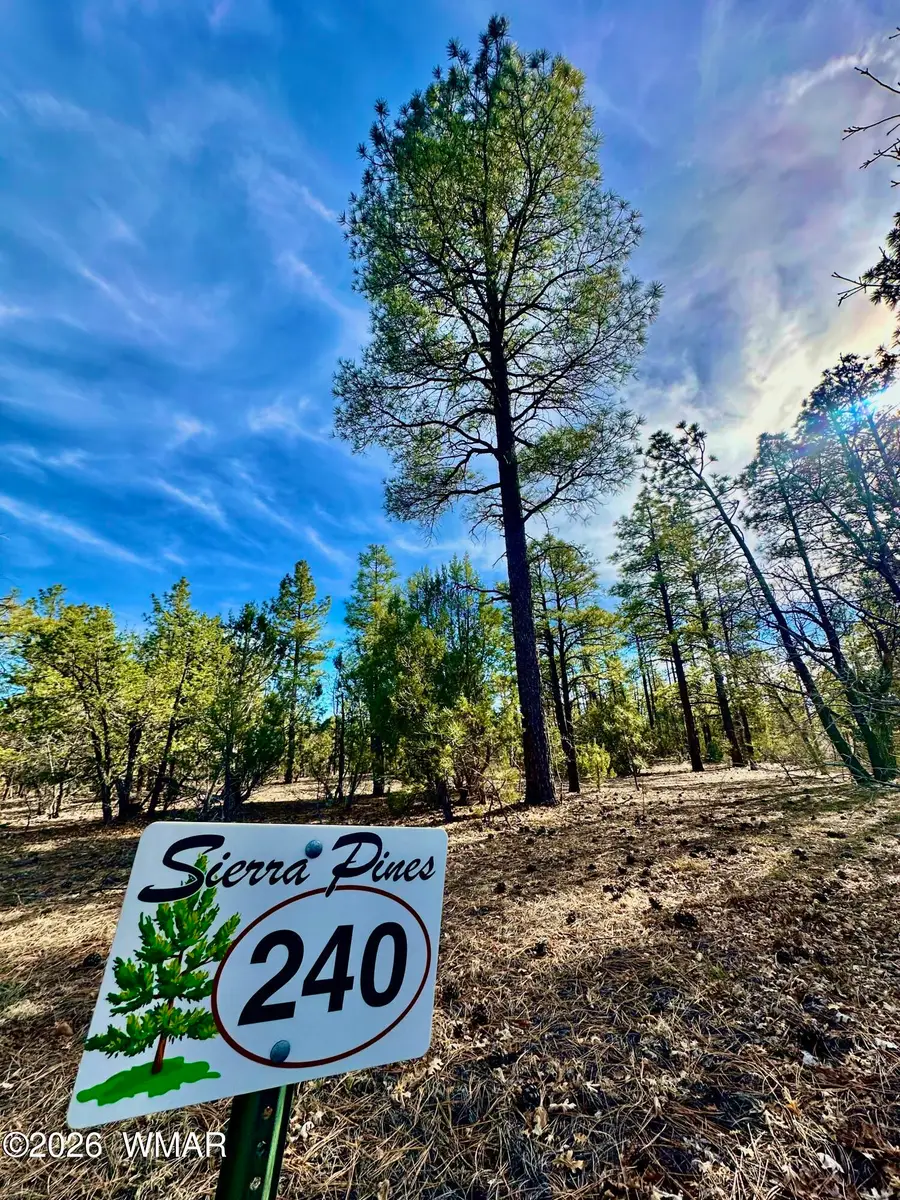 321 W Aspen Trail, Show Low, AZ 85901 - #2