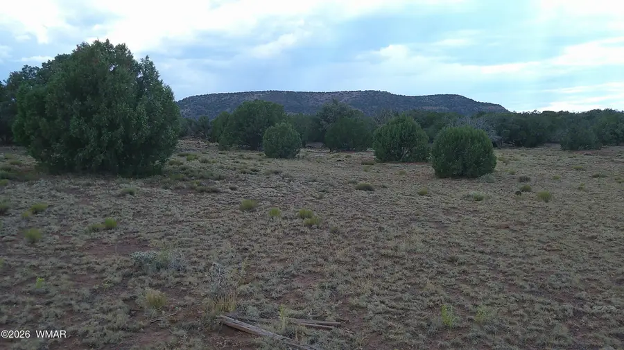 TBD Concho 10ac, Concho, AZ 85924 - #2