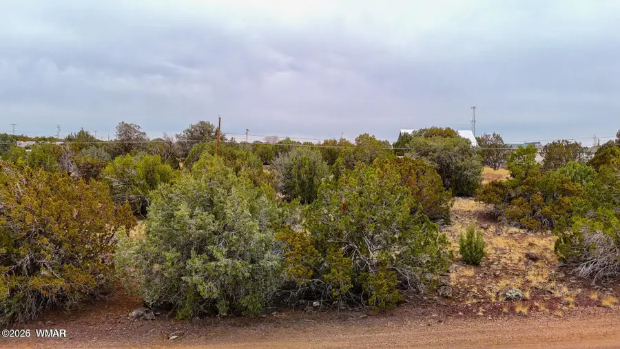 8423 Apache Drive, Show Low, AZ 85901 - #2