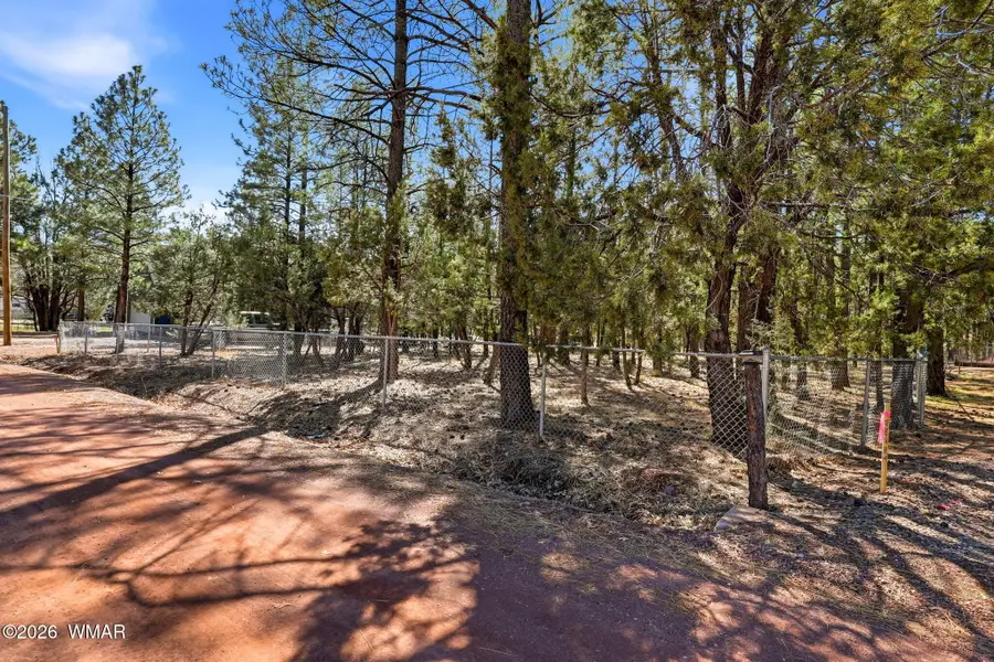 4217 Mohave Drive, Lakeside, AZ 85929 - #3