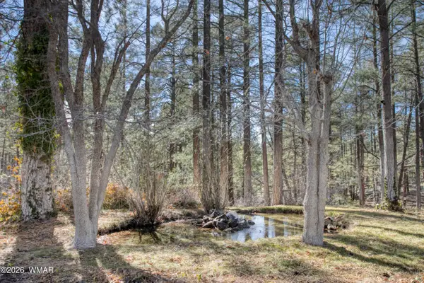 TBD Apn 309-49-165, Show Low, AZ 85901