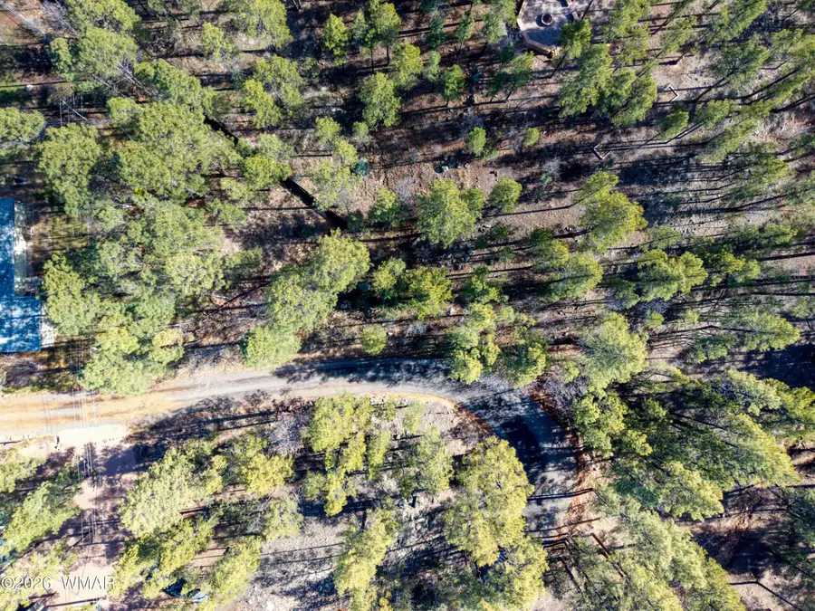 TBD Apn 309-49-165, Show Low, AZ 85901 - #3