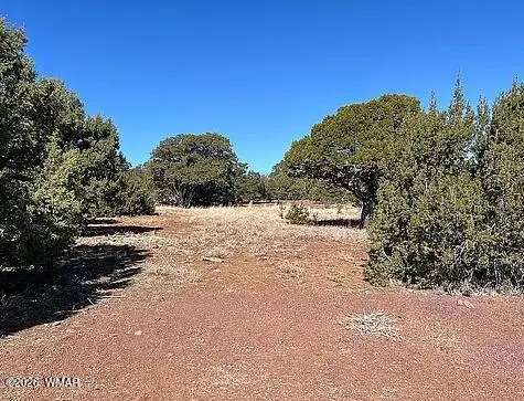28 N8620 Parcel 107-38-002g, Concho, AZ 85924 - #1