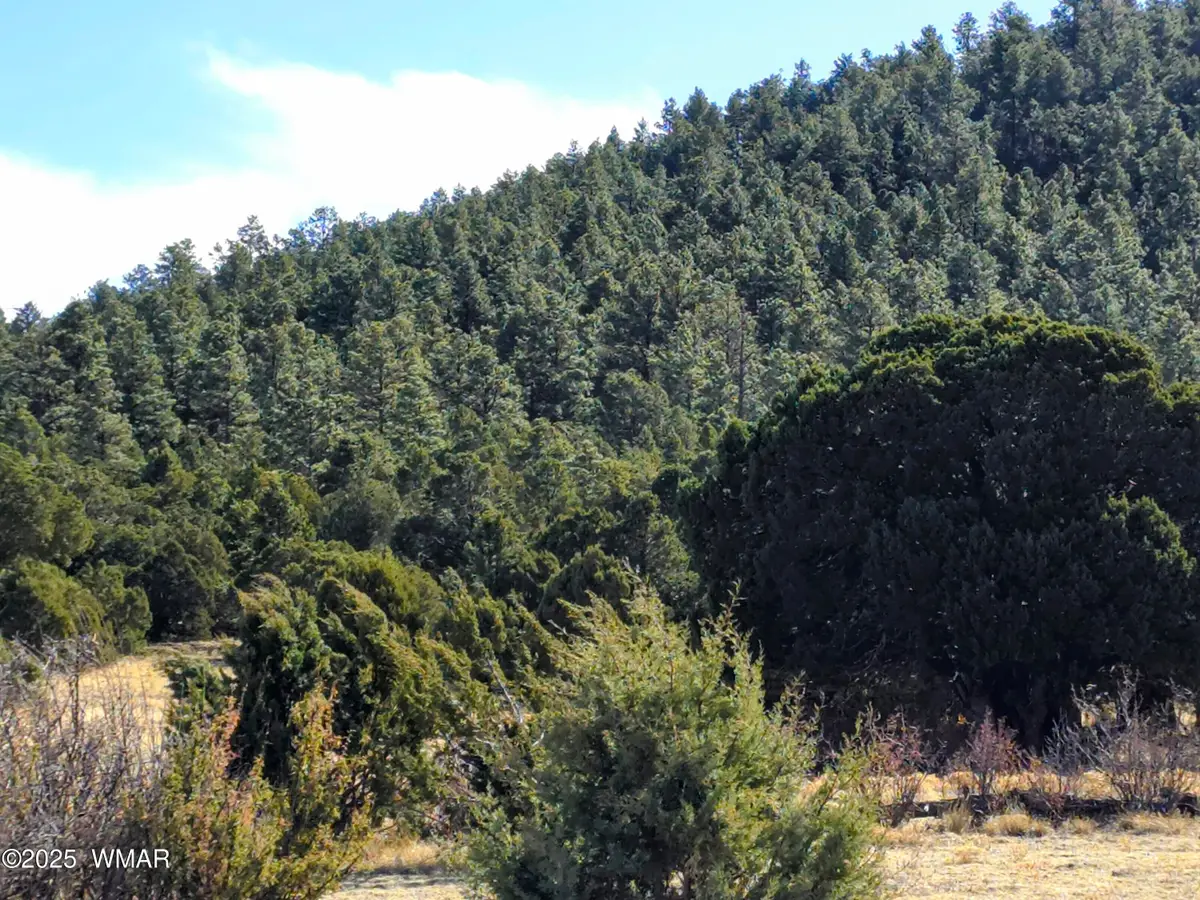 LOT 8 Red Cabin Ranch #8, Vernon, AZ 85940 - #1
