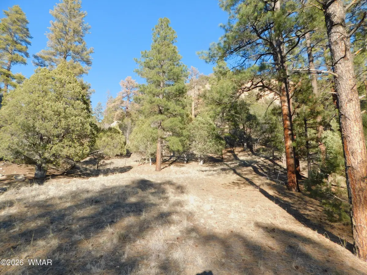 29 N2277, Nutrioso, AZ 85932 - #1