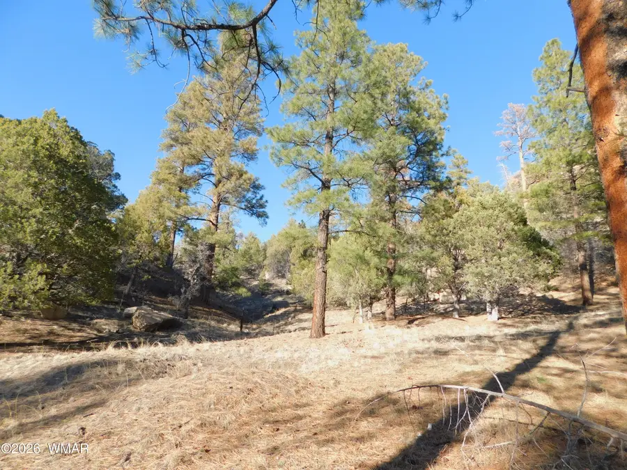 29 N2277, Nutrioso, AZ 85932 - #2