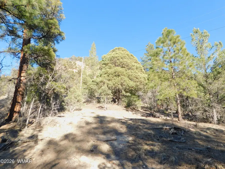 29 N2277, Nutrioso, AZ 85932 - #3