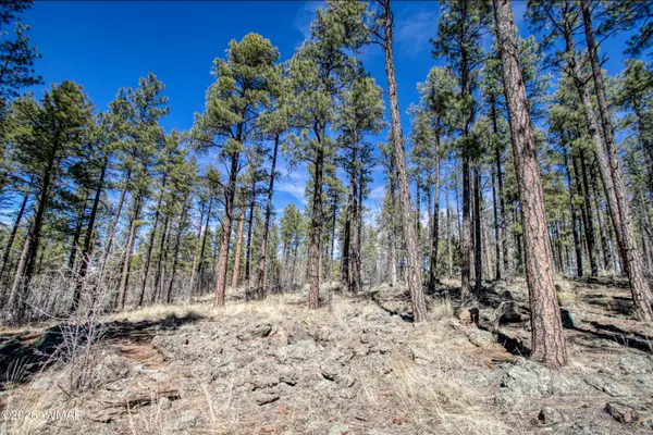 4 Acres E Osprey Lane, Pinetop, AZ 85935
