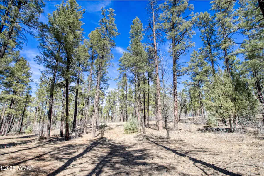 4 Acres E Osprey Lane, Pinetop, AZ 85935 - #3