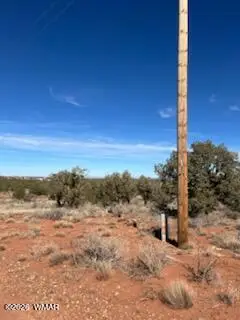 4401 Indian Bend Road, Snowflake, AZ 85937 - #3