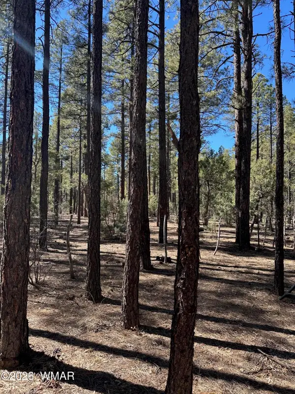 3725 Bear Trail, Lakeside, AZ 85929