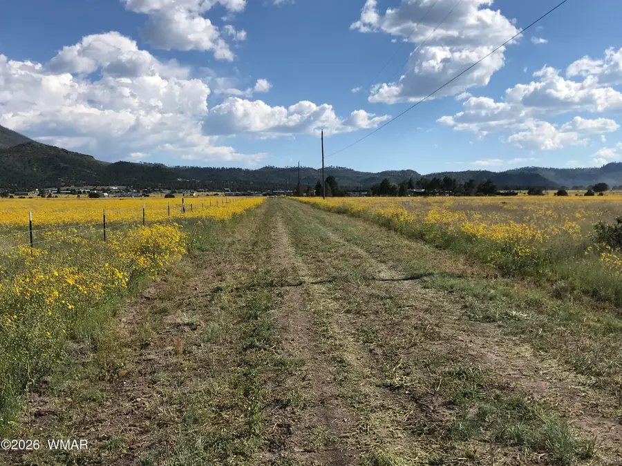 0 Tract C Tbd, Nutrioso, AZ 85932 - #3