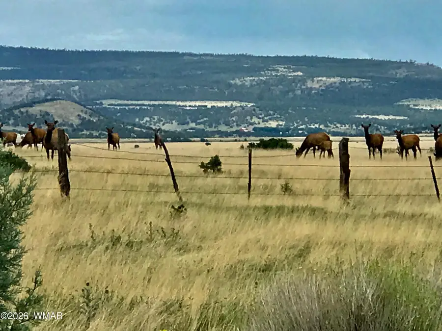 0 Tract E Tbd, Nutrioso, AZ 85932 - #2