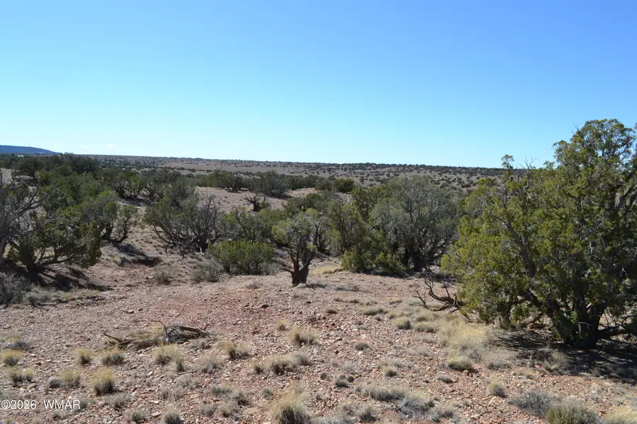 277 County Road N9234, Concho, AZ 85924 - #3