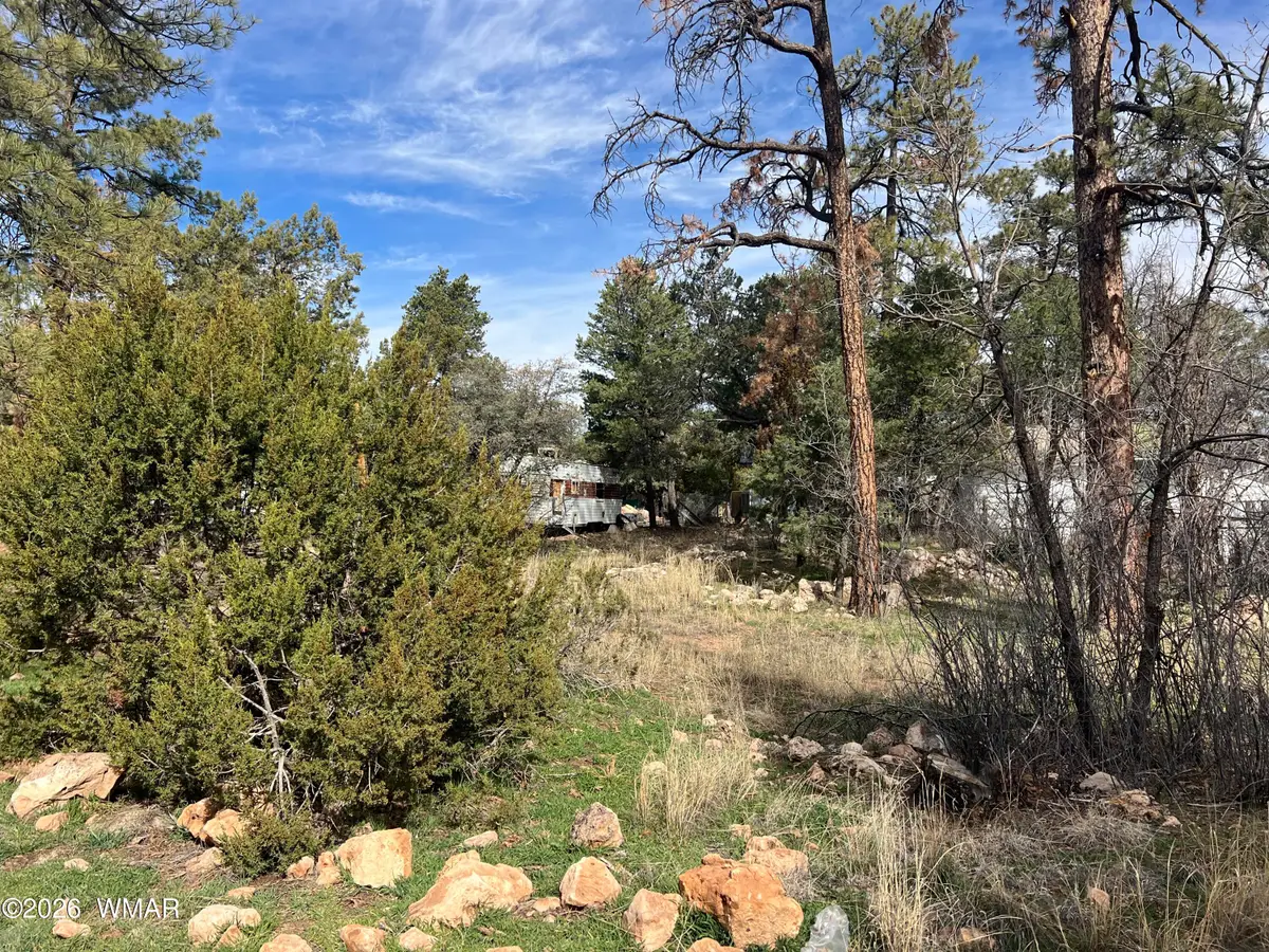 2856 Rainbow Trail, Overgaard, AZ 85933 - #1