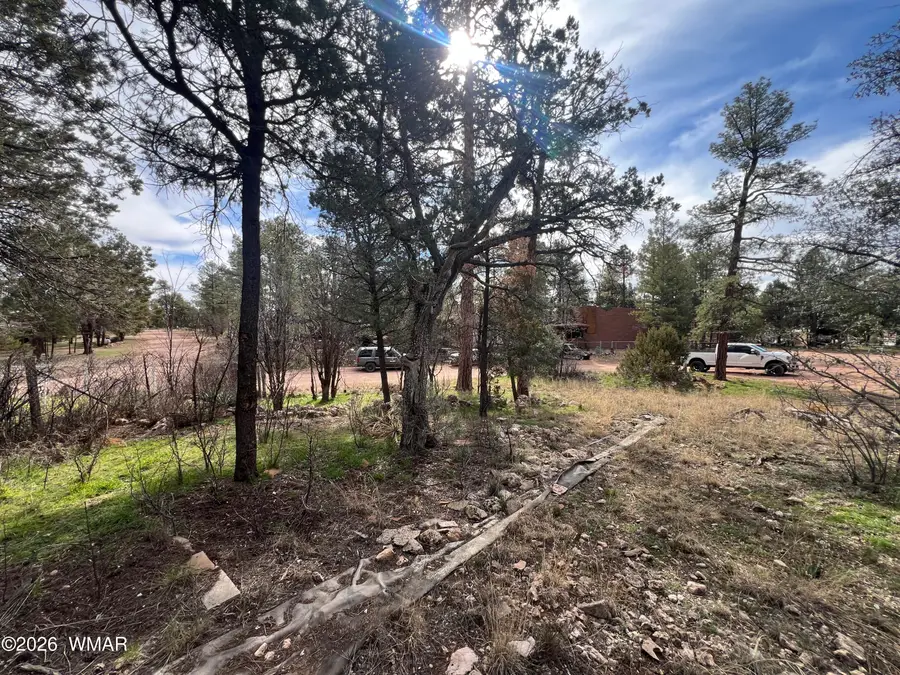 2856 Rainbow Trail, Overgaard, AZ 85933 - #2