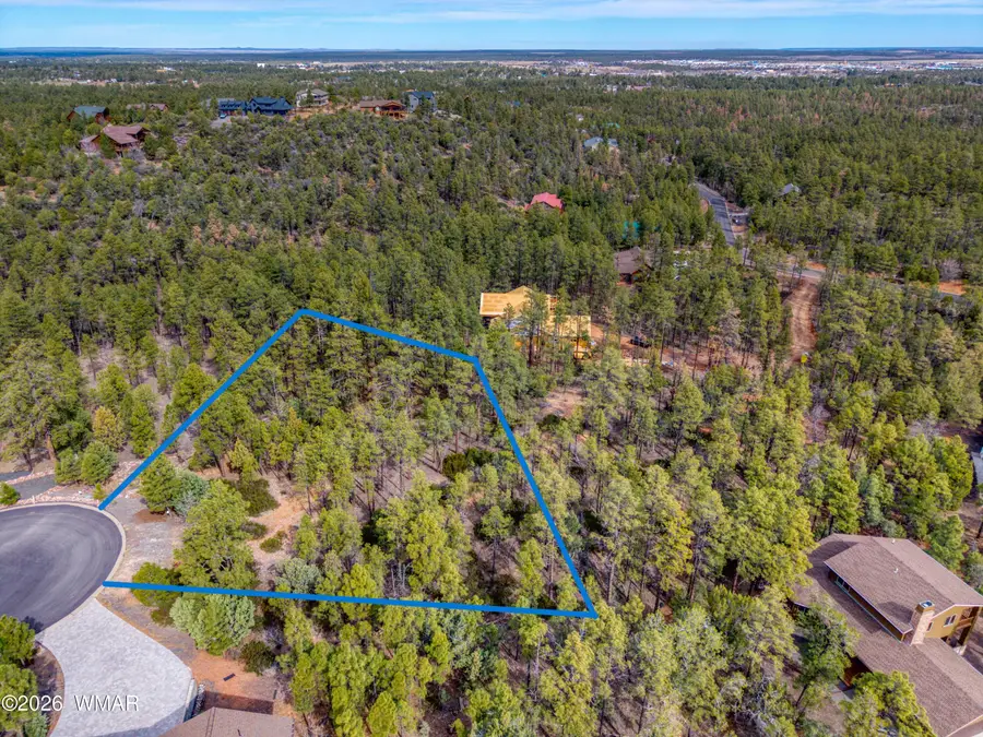 2245 S Columbine Court, Show Low, AZ 85901 - #3