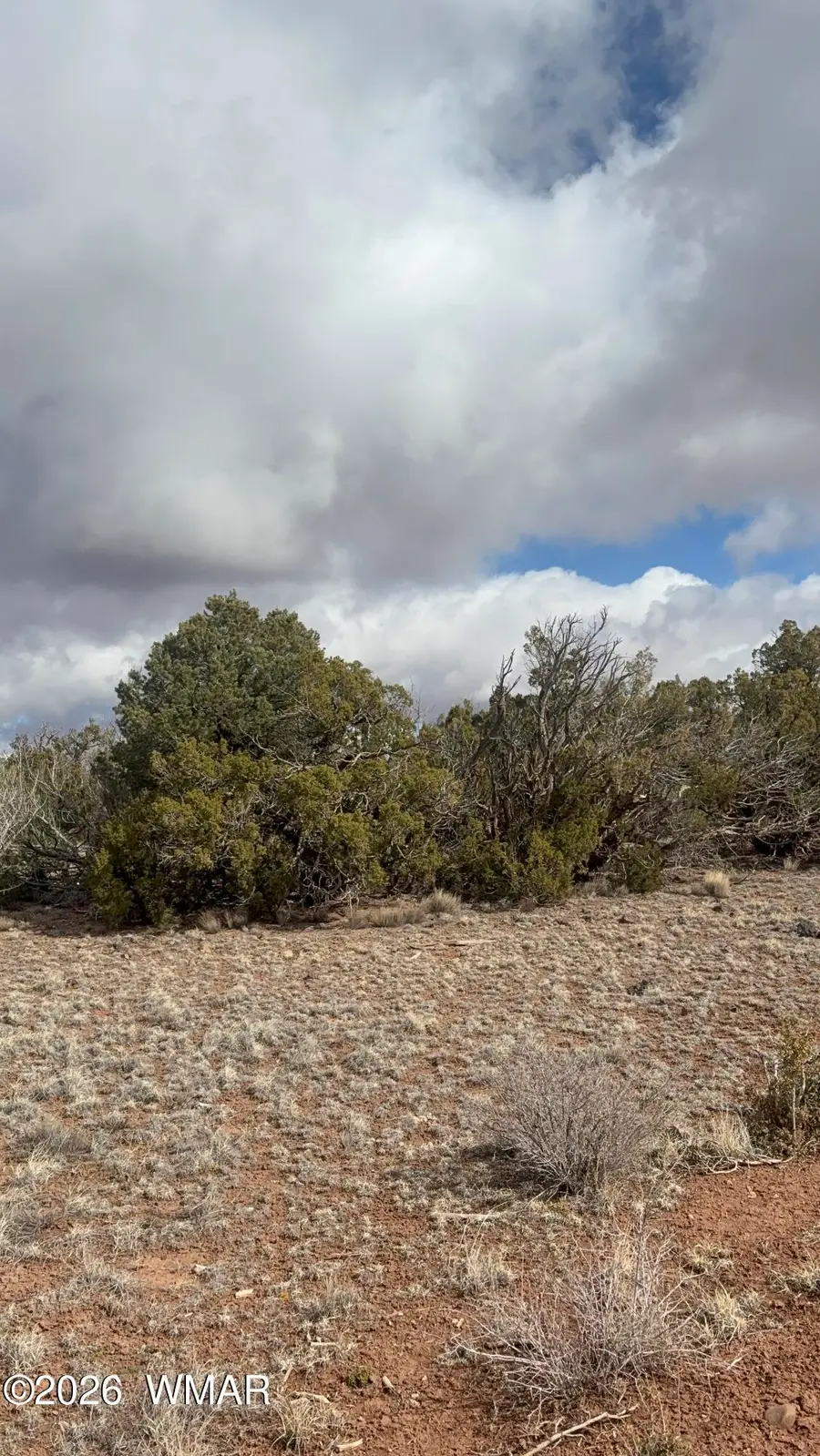 3A N8716, Concho, AZ 85924 - #2