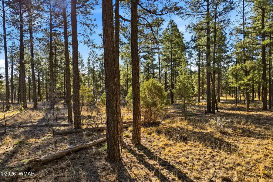 2090 Knotty Pine Circle, Overgaard, AZ 85933 - #2