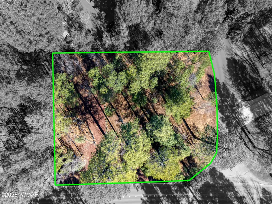 4250 Branding Iron Loop, Pinetop, AZ 85935 - #2