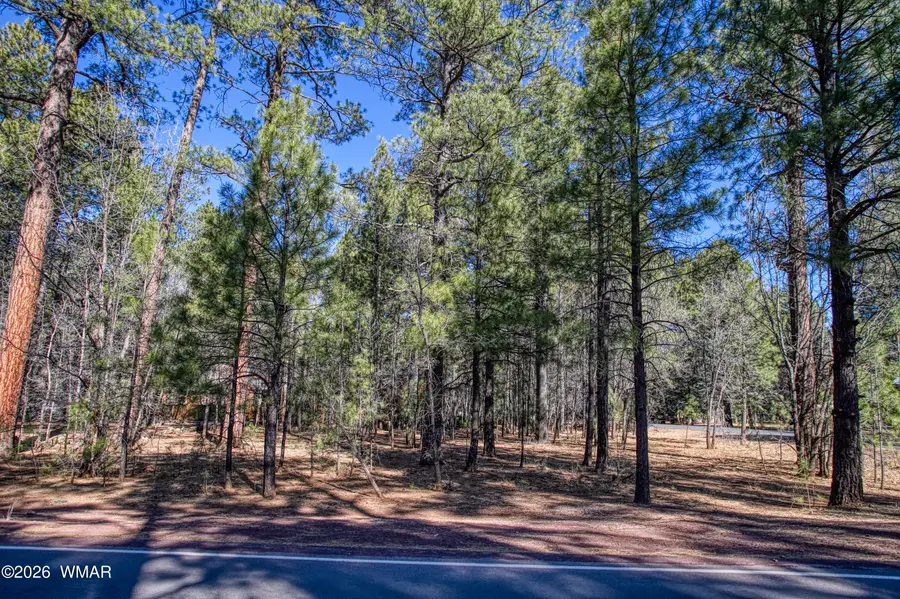 4250 Branding Iron Loop, Pinetop, AZ 85935 - #3