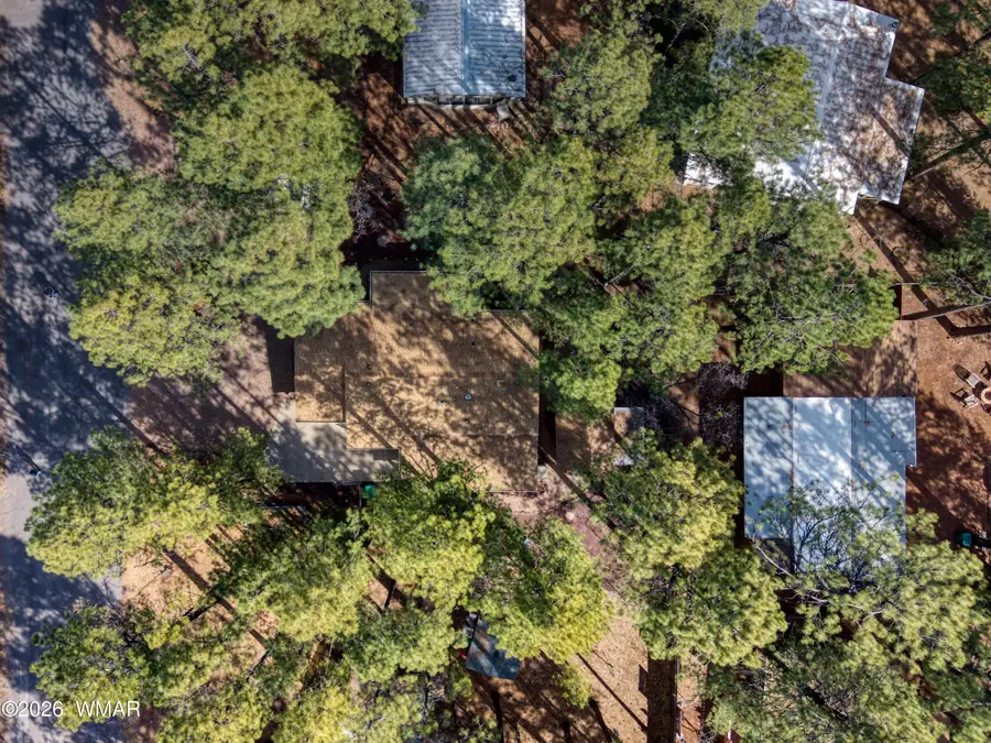 1915 E Sierra Pine Loop, Pinetop, AZ 85935 - #3