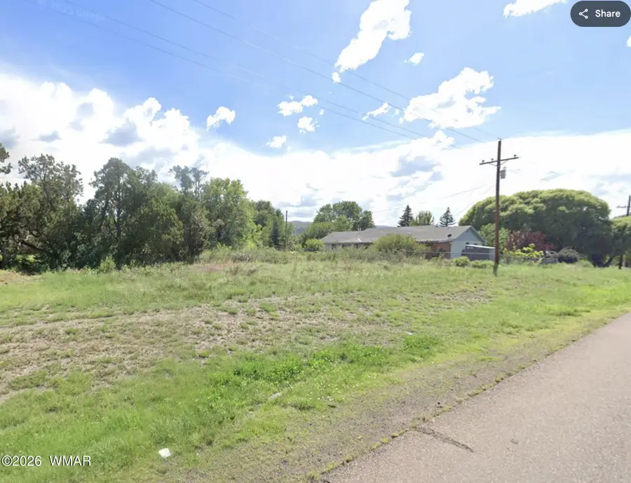 0 W School Bus Road, Eagar, AZ 85925 - #2