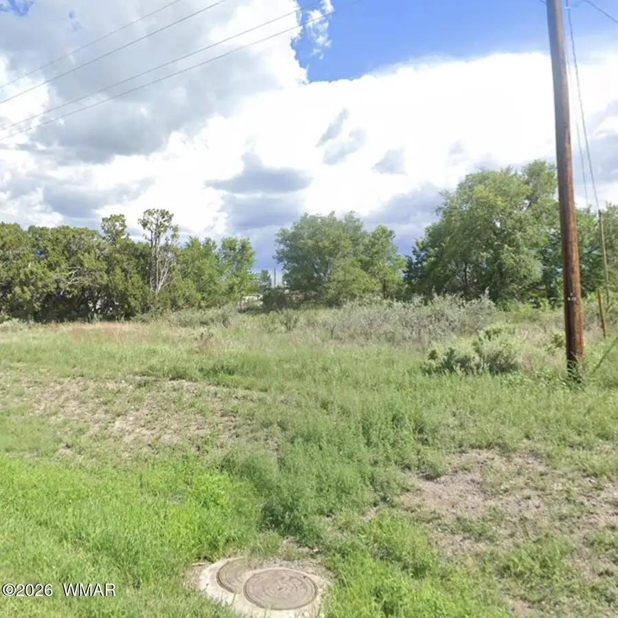 0 W School Bus Road, Eagar, AZ 85925 - #3