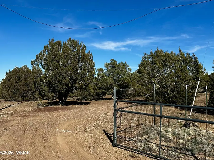 7980 Shehan Road, Show Low, AZ 85901 - #3