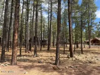 7776 Buck Springs Road, Pinetop, AZ 85935