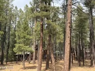 7776 Buck Springs Road, Pinetop, AZ 85935 - #2